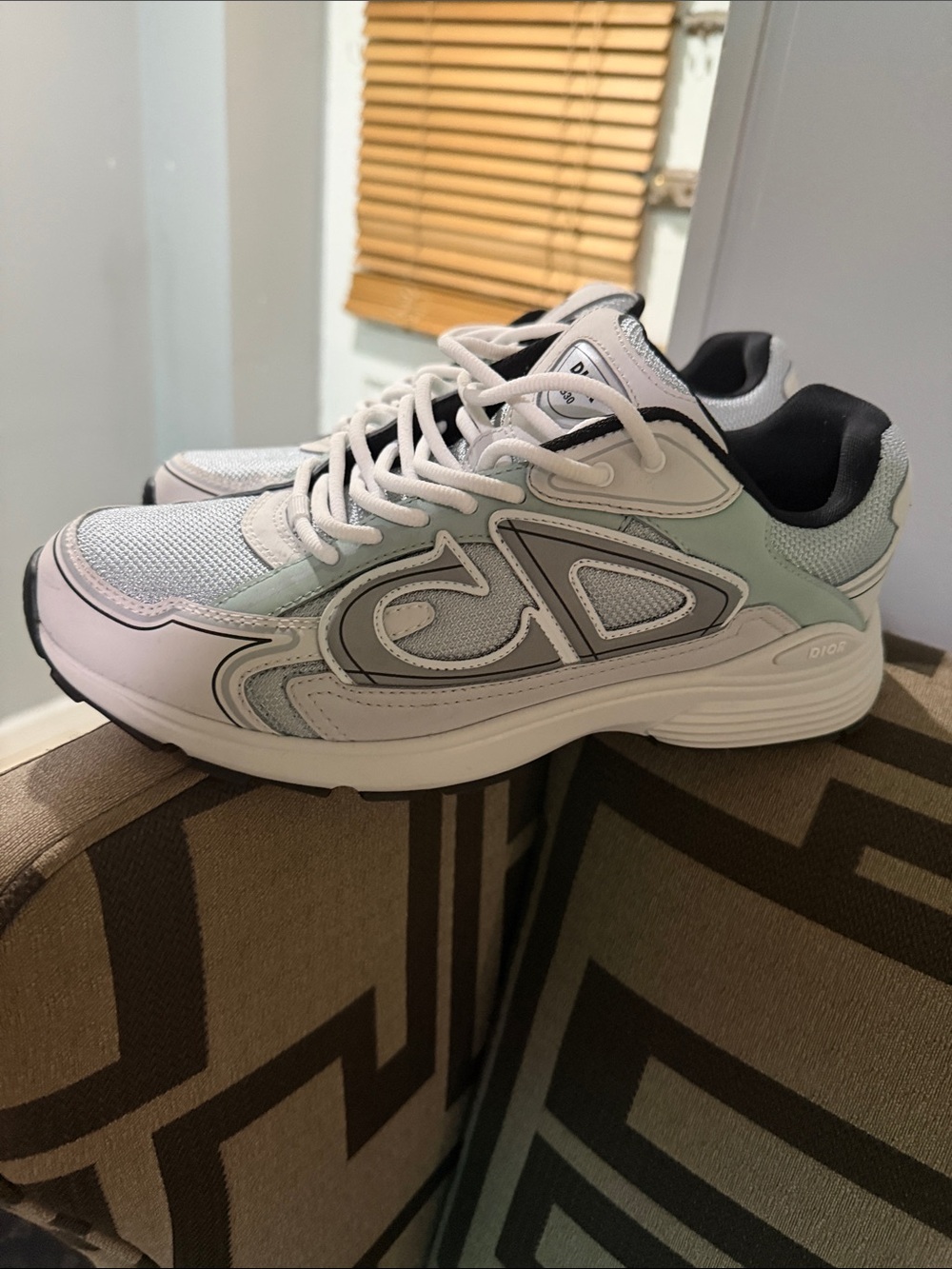 Dior Men’s Mint Green & Gray B22 Low-Top Sneakers - Picture 3 of 7